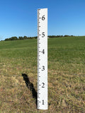 Personalized Wooden Growth Chart Ruler